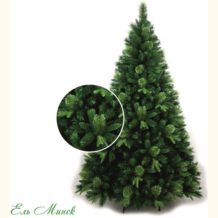  Classic Christmas Tree   2,45  Classic Fir Minsk