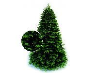  Classic Christmas Tree  2,45   Classic Fir Franklin
