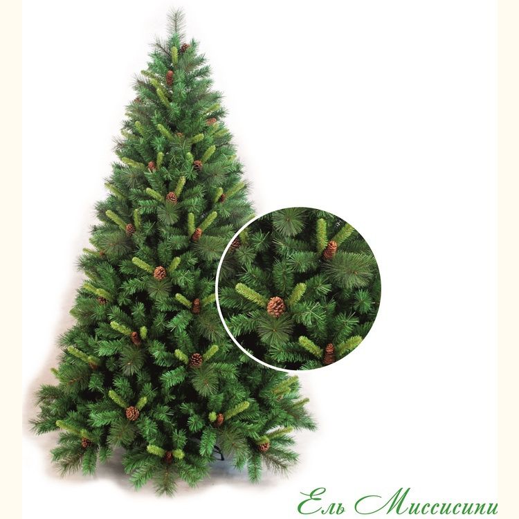  Classic Christmas Tree   1.85 Classic Fir Mississippi