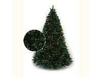  Classic Christmas Tree  1,25   lassic Fir Fifeshire